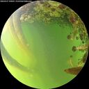 ./images/calvert/underwater/20260527/underwater20260527_190001M.jpg