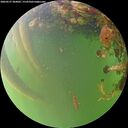 ./images/calvert/underwater/20260527/underwater20260527_204001M.jpg