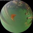 ./images/calvert/underwater/20260527/underwater20260527_212001M.jpg