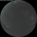 ./images/calvert/underwater/20260528/underwater20260528_045001M.jpg