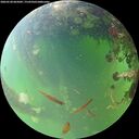 ./images/calvert/underwater/20260528/underwater20260528_065002M.jpg