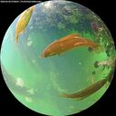 ./images/calvert/underwater/20260528/underwater20260528_070001M.jpg