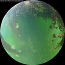 ./images/calvert/underwater/20260528/underwater20260528_073002M.jpg