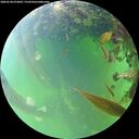 ./images/calvert/underwater/20260528/underwater20260528_074001M.jpg