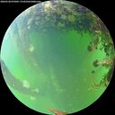 ./images/calvert/underwater/20260528/underwater20260528_075002M.jpg