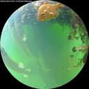 ./images/calvert/underwater/20260528/underwater20260528_075501M.jpg