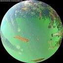 ./images/calvert/underwater/20260528/underwater20260528_083501M.jpg
