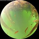 ./images/calvert/underwater/20260528/underwater20260528_101501M.jpg