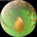 ./images/calvert/underwater/20260528/underwater20260528_102501M.jpg