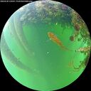./images/calvert/underwater/20260528/underwater20260528_110501M.jpg