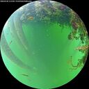 ./images/calvert/underwater/20260528/underwater20260528_111502M.jpg