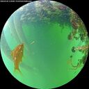 ./images/calvert/underwater/20260528/underwater20260528_112001M.jpg