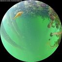 ./images/calvert/underwater/20260528/underwater20260528_112501M.jpg