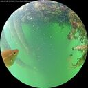 ./images/calvert/underwater/20260528/underwater20260528_115501M.jpg