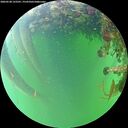 ./images/calvert/underwater/20260528/underwater20260528_122501M.jpg