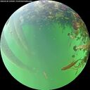./images/calvert/underwater/20260528/underwater20260528_135001M.jpg
