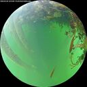 ./images/calvert/underwater/20260528/underwater20260528_135501M.jpg