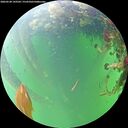 ./images/calvert/underwater/20260528/underwater20260528_143502M.jpg