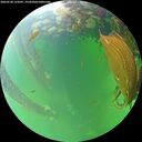 ./images/calvert/underwater/20260528/underwater20260528_155001M.jpg