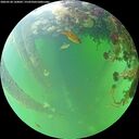 ./images/calvert/underwater/20260528/underwater20260528_160002M.jpg