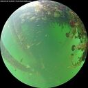 ./images/calvert/underwater/20260528/underwater20260528_162002M.jpg