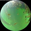 ./images/calvert/underwater/20260528/underwater20260528_164001M.jpg