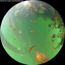 ./images/calvert/underwater/20260528/underwater20260528_171001M.jpg