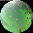./images/calvert/underwater/20260528/underwater20260528_171501M.jpg