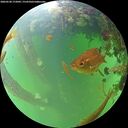 ./images/calvert/underwater/20260528/underwater20260528_172001M.jpg