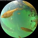 ./images/calvert/underwater/20260528/underwater20260528_172501M.jpg