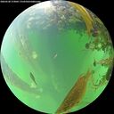 ./images/calvert/underwater/20260528/underwater20260528_173001M.jpg