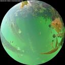 ./images/calvert/underwater/20260528/underwater20260528_174001M.jpg