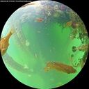 ./images/calvert/underwater/20260528/underwater20260528_175501M.jpg
