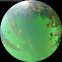./images/calvert/underwater/20260528/underwater20260528_180501M.jpg