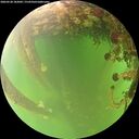 ./images/calvert/underwater/20260528/underwater20260528_182001M.jpg