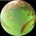 ./images/calvert/underwater/20260528/underwater20260528_183001M.jpg