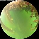 ./images/calvert/underwater/20260528/underwater20260528_183501M.jpg