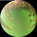 ./images/calvert/underwater/20260528/underwater20260528_185001M.jpg