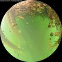 ./images/calvert/underwater/20260528/underwater20260528_190501M.jpg