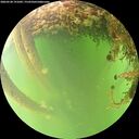 ./images/calvert/underwater/20260528/underwater20260528_191001M.jpg