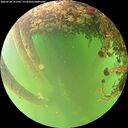 ./images/calvert/underwater/20260528/underwater20260528_191502M.jpg