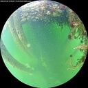 ./images/calvert/underwater/20260528/underwater20260528_192001M.jpg