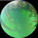 ./images/calvert/underwater/20260528/underwater20260528_192501M.jpg