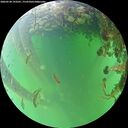 ./images/calvert/underwater/20260528/underwater20260528_193501M.jpg