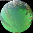 ./images/calvert/underwater/20260528/underwater20260528_194501M.jpg