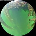 ./images/calvert/underwater/20260528/underwater20260528_195501M.jpg