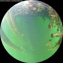 ./images/calvert/underwater/20260528/underwater20260528_200501M.jpg