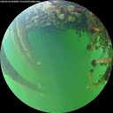 ./images/calvert/underwater/20260528/underwater20260528_202001M.jpg