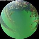 ./images/calvert/underwater/20260528/underwater20260528_202501M.jpg