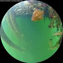 ./images/calvert/underwater/20260528/underwater20260528_203001M.jpg